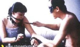 国产性虐,揭秘国产影视作品中的独特魅力与争议